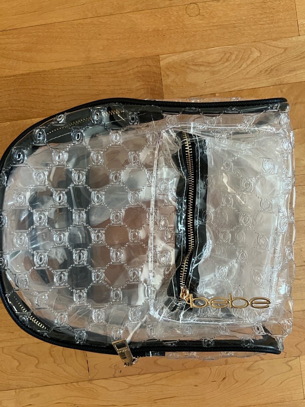 Bebe Clear Women's Backpack with Black Trim and Gold Accents - Picture 3 of 4
